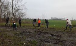 Plantations Cavalier   048